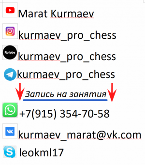 Финальный удар шашкой a3(4)