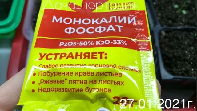 ЭУСТОМА ОТ ПОСЕВА ДО ЦВЕТЕНИЯ(все этапы развития ЭУСТОМЫ)?