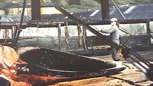 Южная Георгия. Китобойная база Грютвикен.