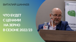 «Рынок уснул и ничего не обещает»: что будет с ценами на зерно в сезоне 2022/23