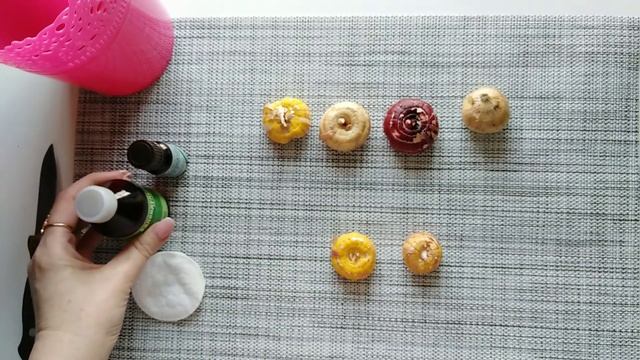 Готовлю луковицы гладиолусов к посадке. смотреть онлайн