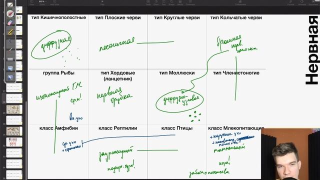 Эволюция нервной системы | Биология ЕГЭ