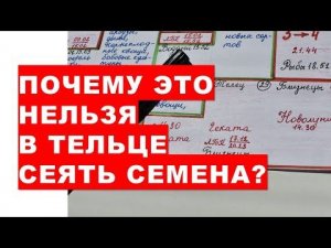 Срочно! Почему в Тельце 28 после 14.30 и 29 мая 2022 года нельзя сеять семена и высаживать картошку