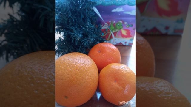 Песня шуточная "Ах , мандарин удивительный плод.. " Автор Мичурин В. Г. смотреть онлайн