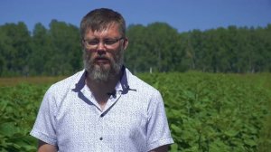ФЮЗИЛАД® ФОРТЕ на подсолнечнике, Барнаул