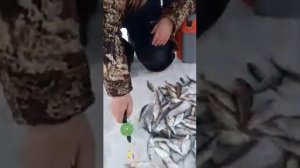 КОЛЬЧУГИНСКОЕ водохранилище 11 марта