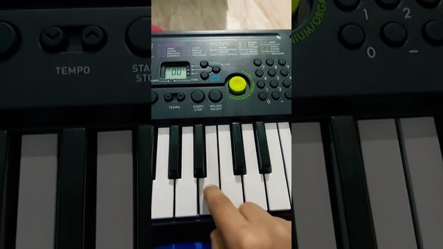 Easiest song on Casio sa-47 смотреть онлайн