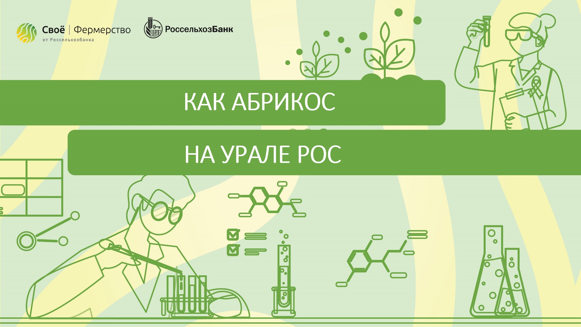 Как абрикос на Урале рос