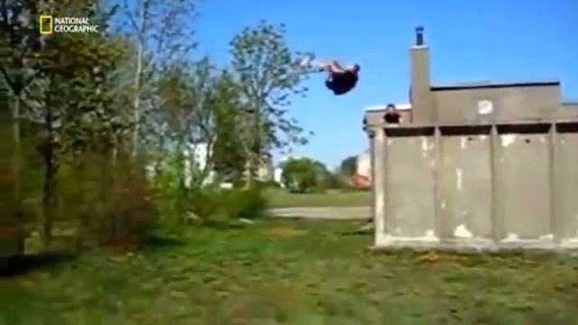 Научные глупости #1