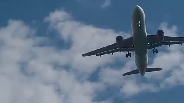 24 luglio Airport Malpensa T1 a320 Landing. смотреть онлайн