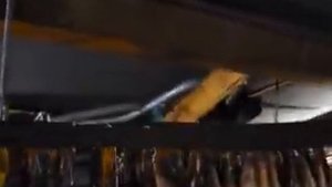 вяление окуня