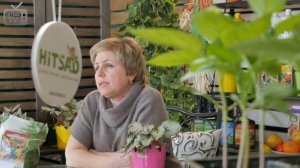 Мавританский газон ✅ Цветочный газон ? Видеообзор