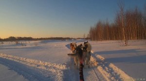 Новосибирск 10.02.22