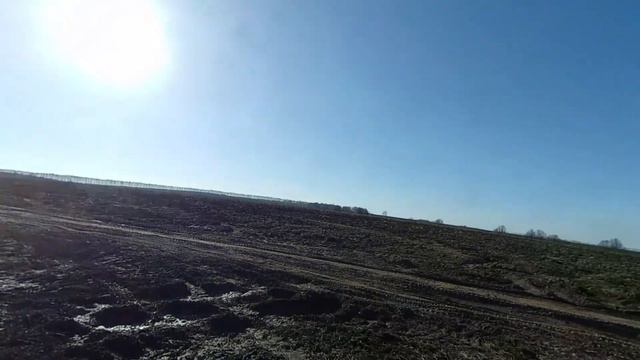 День Чешуи смотреть онлайн