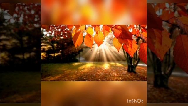 Песня Осень падают листья минусовка смотреть онлайн