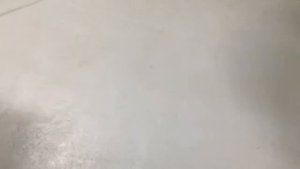 Двигатель Лифан 177F-Dс катушкой освещения, электростартер