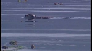 История, распятая в пространстве 8 || Кто мы? || HD