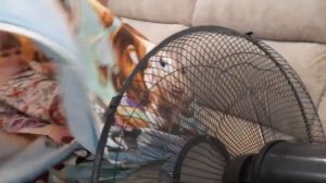 Прохладный ДОМИК из пододеяльника! Спасаемся от ЖАРЫ!