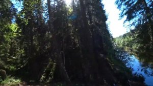 Тест резины Петрошина превратился в ????