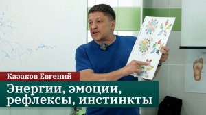 Энергии, эмоции, рефлексы, инстинкты. Китайская традиционная медицина. Казаков Евгений