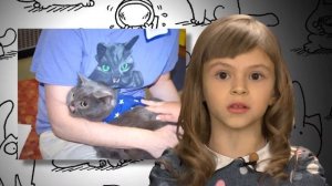 Почему мы любим кошек?