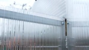 Какой поликарбонат лучше для теплицы