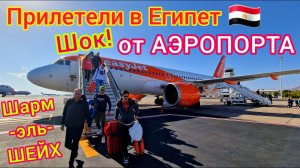 ПРИЛЕТЕЛИ в Египет. ПРОБЛЕМЫ В АЭРОПОРТУ в прошлом! Ожидания не оправдались. ШАРМ ЭЛЬ ШЕЙХ удивил!