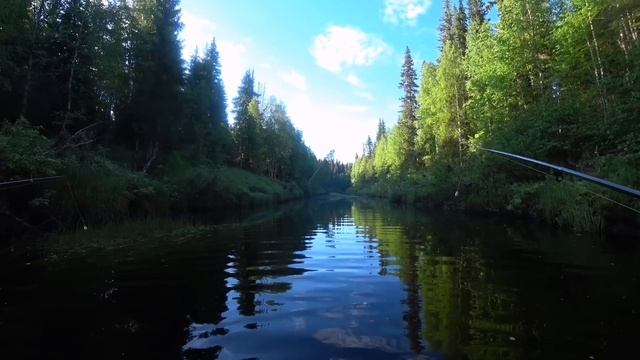 За ХАРИУСОМ в Тайгу Республики Коми/Три дня в таёжной избе! Уха из хариуса/медвежьи тропы! смотреть онлайн