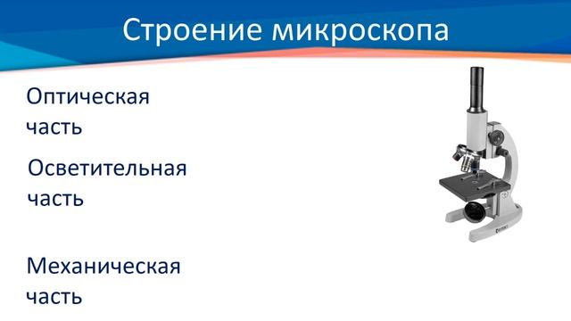 ІІІ четверть, естествознание  5 класс  Микроскопические исследования живых организмов смотреть онлайн