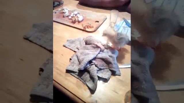 Пьянка и закуска. смотреть онлайн