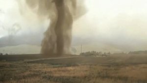 Зеленые волны  ZIVERT