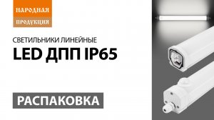 Распаковка линейных светильников LED ДПП IP65