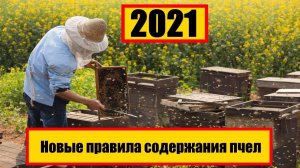 #пчеловодство #пасека #пчелы Новые правила содержания пчел 2021