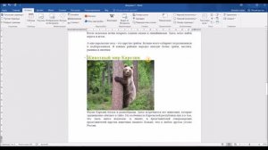 Вставка и создание гиперссылок, закладок и оглавления в документе