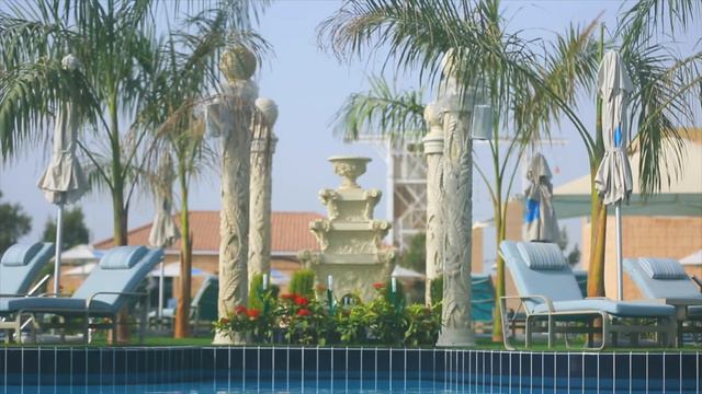 Palma beach resort umm al Quwain смотреть онлайн