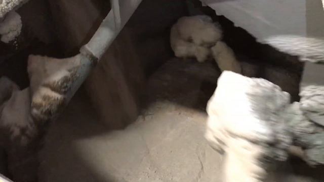 Concrete Mixing Video Planetary Concrete Mixer