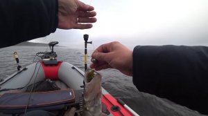 Рыбалка и тест спиннинга Ronin Rush RAIDER - Обзор спиннинга