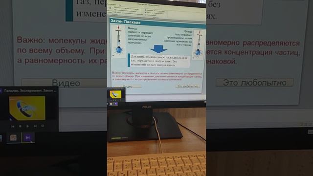 закон Паскаля смотреть онлайн