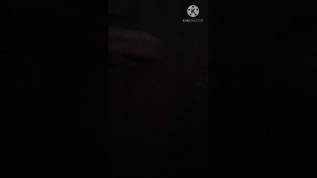 Храм почаевской иконы Божией матери г Белгород Россия смотреть онлайн