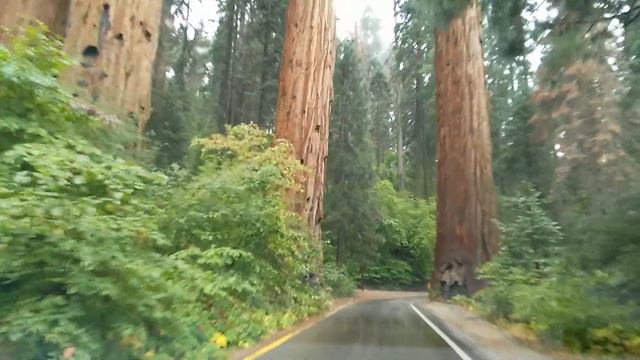 Road to Sequoia National Park | Дорога в национальный парк Секвойя