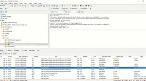 Authenticated Scan Using OWASP ZAP Form based authentication