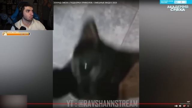 РАВШАН СМОТРИТ : ПОПРОБУЙ НЕ ЗАСМЕЯТЬСЯ, 999% ПРОИГРАЮТ смотреть онлайн