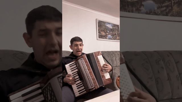 Цыган поёт