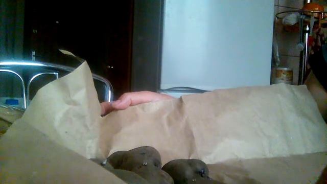 #посылкасадыроссии  Посылка из Садов России..элитные семена картофеля,родриго,утро раннее,чудесник,