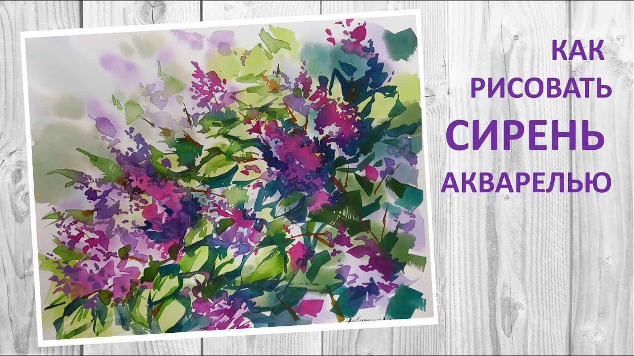 Как рисовать сирень акварелью, подробный мастер-класс