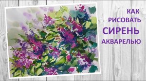 Как рисовать сирень акварелью, подробный мастер-класс