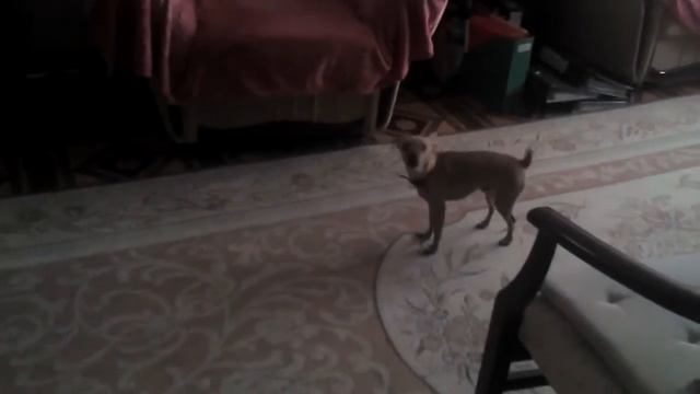 Плохой телевизор)) смотреть онлайн