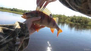 Лучшая рыбалка в ХМАО/ р.Вах /07.2022