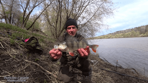 И даже ЖЕРЕХ! Весенняя рыбалка на ОКЕ.