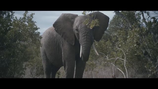 Новый Land Rover Defender | Завершен еще один этап тестов смотреть онлайн